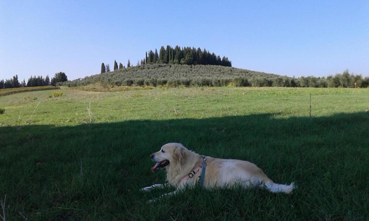 Dolce Cuore Luxe Apartment Chianti Florence Male Romantyczne Mieszkanie San Donato in Poggio Zewnętrze zdjęcie
